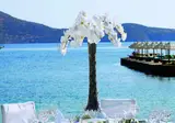 Elounda Peninsula Luxury Resort foto 23