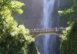 Explore the Scenic Pacific Northwest foto 6