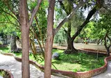 Tropic Hotel foto 14