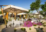 Krk Premium Camping Resort foto 13