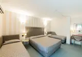 Albergo Athenaeum foto 29
