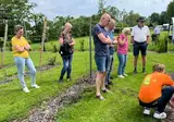 Vakantiepark De Toffe Peer foto 12