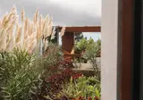 Calheta Glamping Pods foto 8