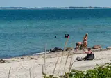Camping Hasmark Strand foto 5