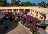 Bakadaji Hotel foto 29