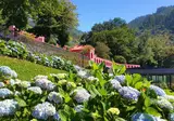 Quinta da Serra foto 15