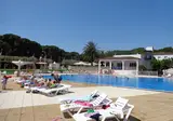Cypsela foto 21