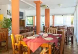 Gitavillage Argentario foto 16