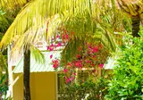 Silver Beach foto 25