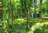 EuroParcs Maasduinen foto 5