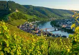 Over de Rijn en Moezel naar Cochem en Boppard met mps Rembrandt van Rijn foto 16