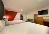 Hotel Mx Condesa Cdmx Trademark Collection By Wyndham foto 7