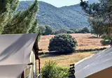 Olva foto 16