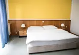 Alp Hotel foto 6