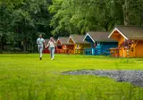 Het Amsterdamse Bos foto 2
