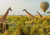 Explore the Great Nature of Tanzania foto 7