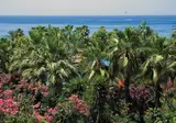 Defne Garden foto 3