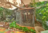 Le Windsor, Jungle Art Hotel foto 17