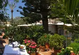 Delle Palme foto 4