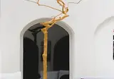 Tharroe Of Mykonos foto 30