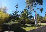 La Palma Romantica foto 3