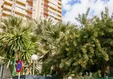 Apartamentos El Faro foto 7