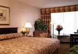 Holiday Inn Boston - Cambridge Area foto 4