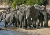 Perfect Match Namibia and Botswana foto 5
