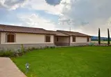 Le Rondini di Francesco di Assisi foto 14