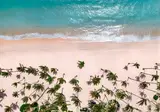 Hyatt Vivid Punta Cana, Adults Only foto 20