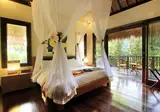 Nandini Jungle Resort & Spa foto 14