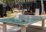 Pinadria Camping Resort foto 3