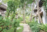 Muang Samui Spa Resort foto 16