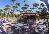 Camping Cieloverde foto 41