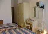 Airone foto 28