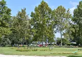 Camping Naturist Berény foto 20