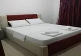 Vila Vasiliu foto 2