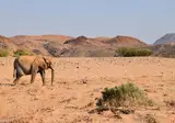 14 daagse reis Ontdek Namibië excl vlucht foto 4