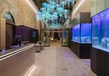 Hotel Aquarius foto 1