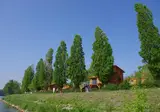 Kanopée Camping & Lodge foto 11