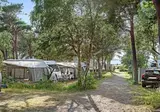 Camping Torekov foto 19