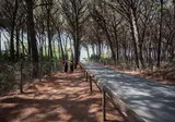 Le Gorette Cecina Easy Camping Village foto 18