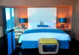 Sofitel Dubai Downtown foto 9