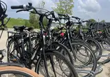 De Zeeuwse Parel foto 28