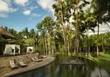 Ubud Village Resort & Spa foto 12