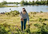 Ontdek Finland foto 20