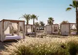 Domes Aulus Zante, Autograph Collection foto 17