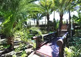 Hotel Parque Tropical foto 7