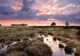 Herberg de Loohoeve foto 22