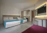 Hotel Palmea foto 18
